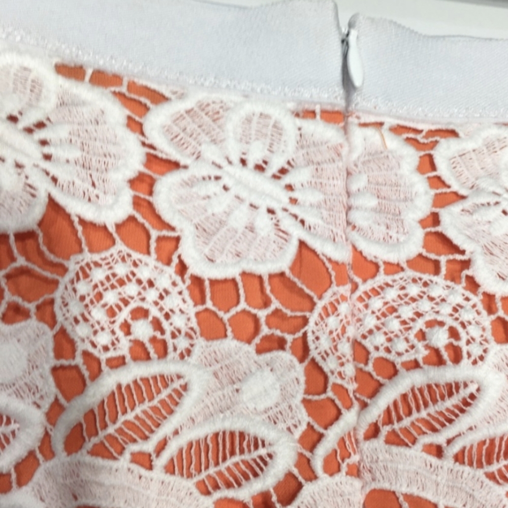 Rebecca Minkoff Angelica Crochet Lace Pencil Skirt XS - Picture 6 of 8